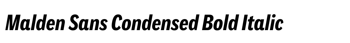Malden Sans Condensed Bold Italic